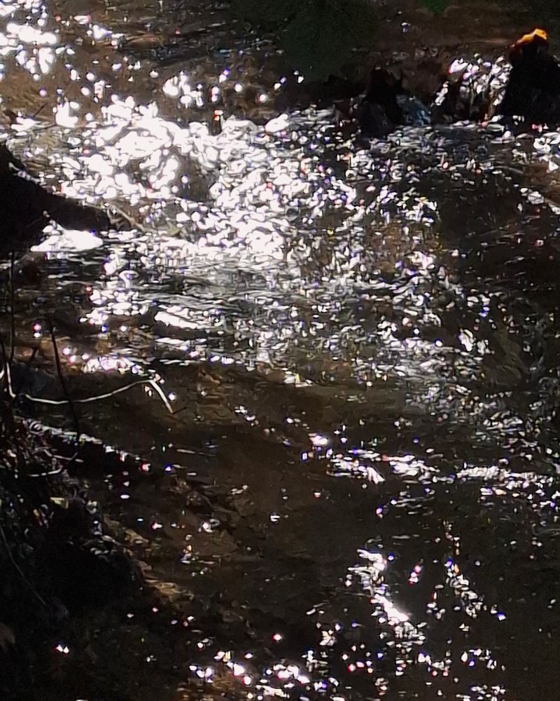 Foto von im Sonnenlicht glitzerndem Fliessgewässer, der Rest ist hauptsächlich dunkel und unkenntlich
