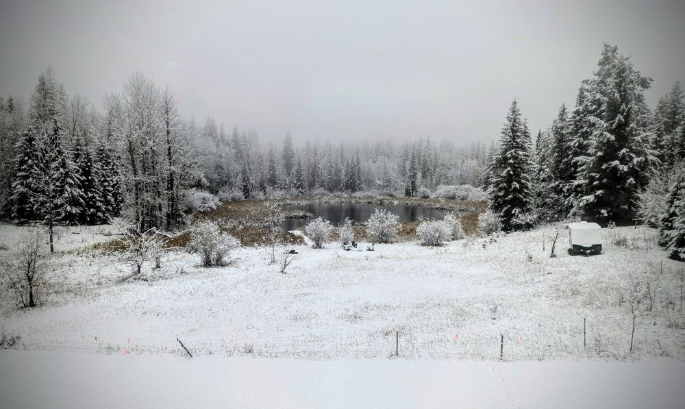 Waking up to snow covered landscape, BC interior. 