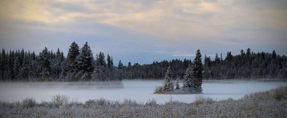 Morning fog and frost over a small lake, interior of BC. 