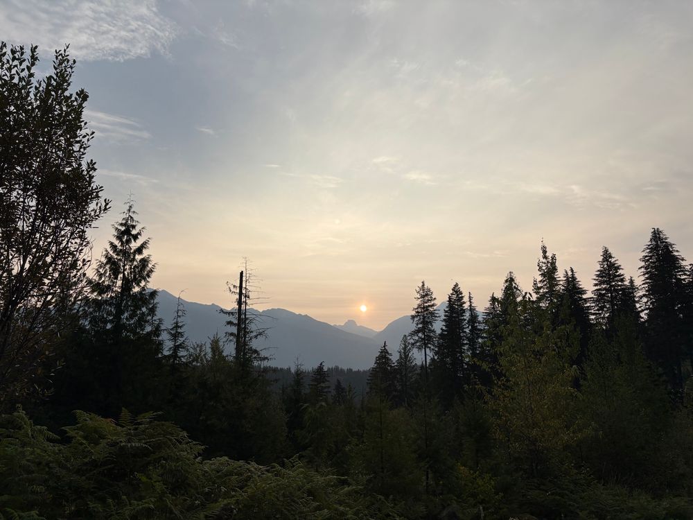 Dark trees in the foreground with smoky, faded blue mountains and a sunrise in the background. Light wisps of clouds in the sky. 