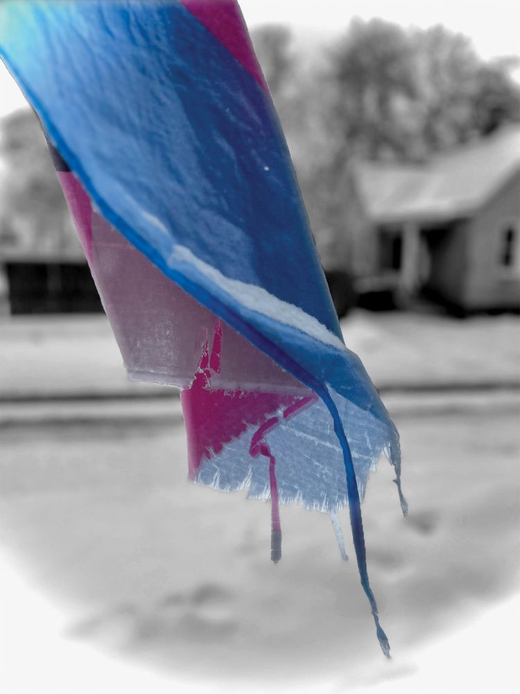 The bottom of a Transgender Pride flag, frayed, and torn, looking like it's moving slightly in a breeze, but there's a ridge of snow on it, showing that it's frozen. The background, which shows a small house and trees across the street in a city neighborhood, is in black & white with a slight ecru tone. 
I took this photo one afternoon in February 0f 2025 after hearing about the horrific month-long torture and murder of a young Black trans man from Minnesota, in a small town 30 miles from where I live. I was stunned, horrified and in anguish over the news about this man, so I went onto my porch to get some air and clear my head. Seeing my flag, frozen, and tattered, but still there, felt like an accurate reflection of everything I was feeling at the time, and, ultimately, a reminder to me that no matter how tough things get, we will always be here.