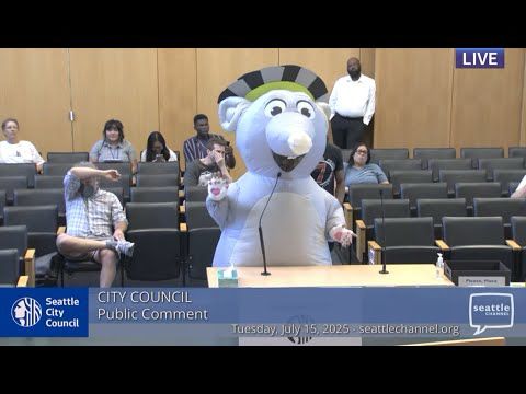 City Council 7/15/2025