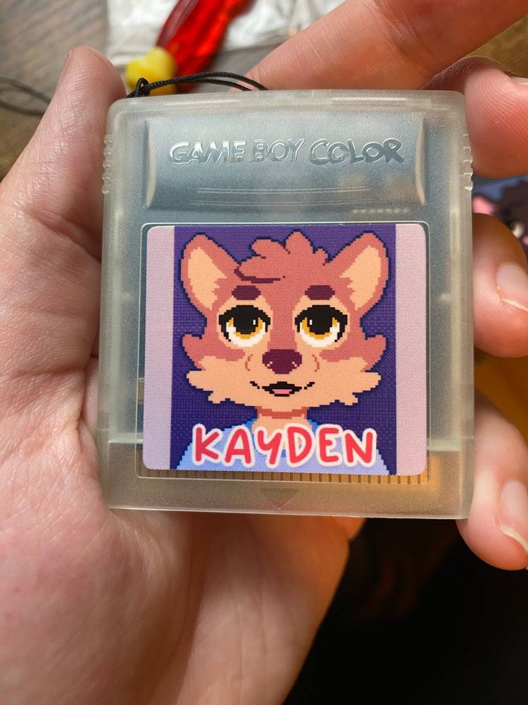 a semi transparent game boy color cartridge with an illustration of a wolf character on a purple background with text on the bottom that reads 'kayden'
