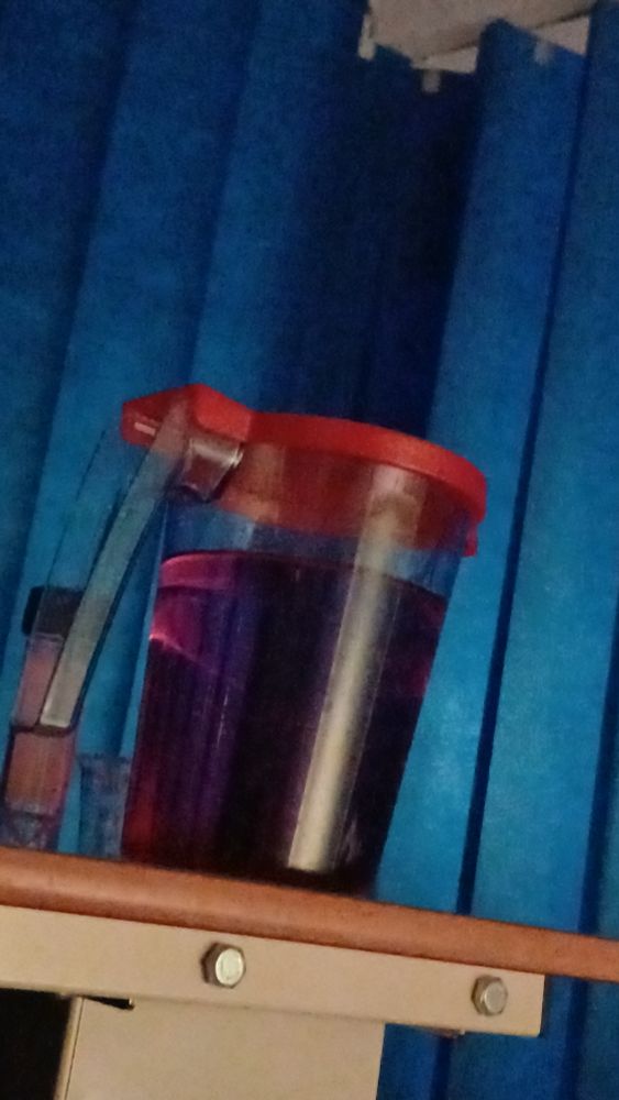 Massive jug of pink mouthwash