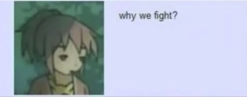 A post from Meduka Meguca, with an extremely low-res off-model picture of Madoka with the caption "why we fight?"