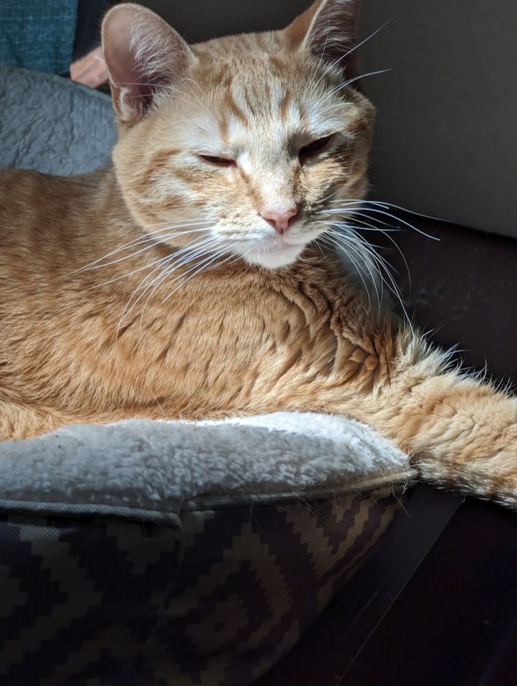 Lenny the sweetest boyeh

