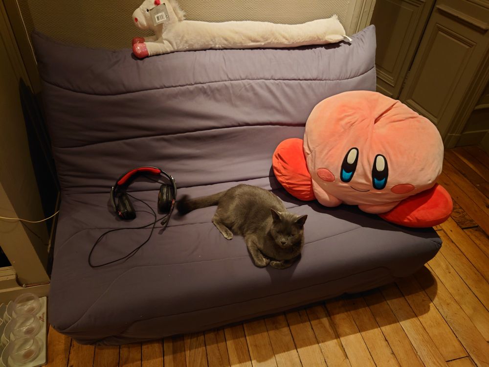 photo d'un BZ ou clic-clac gris dans un coin une pièce. le chat est posé au milieu tel un roi sur son trône. On y trouve une très grande peluche Kirby, un casque gaming, et une peluche longue en forme de licorne 