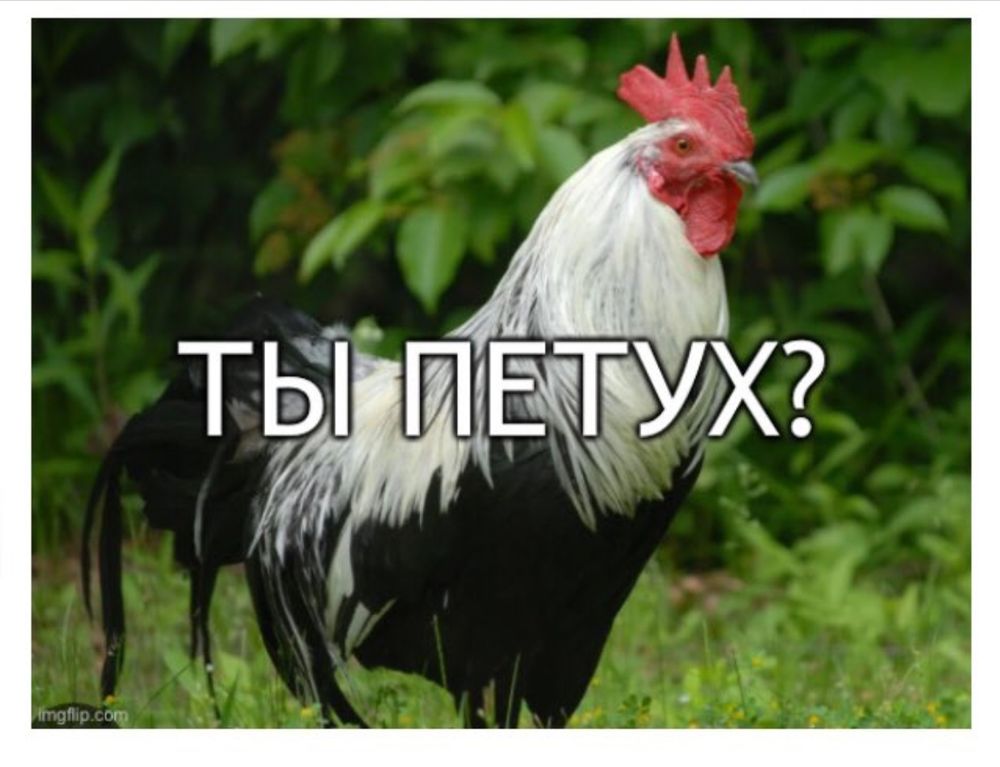Comment image