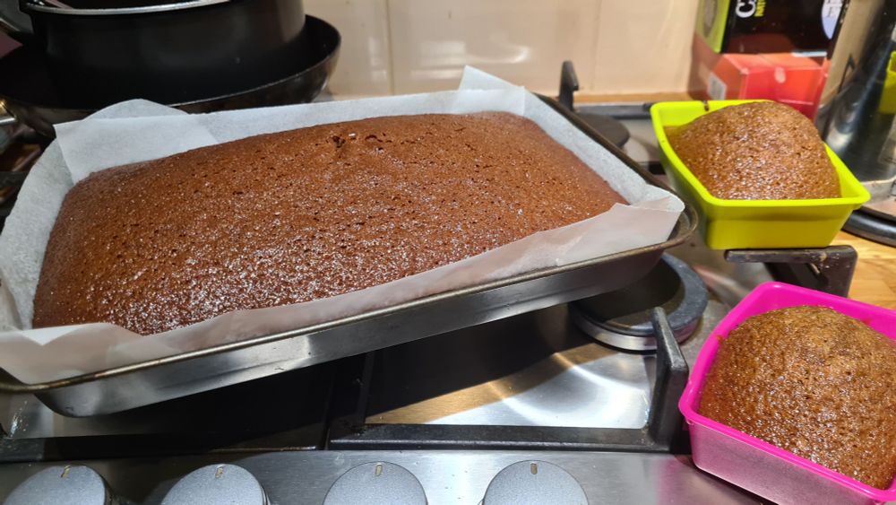 a big rectangle baking tin and two small silicone baking tubs full of well risen gingery looking slabs of cake