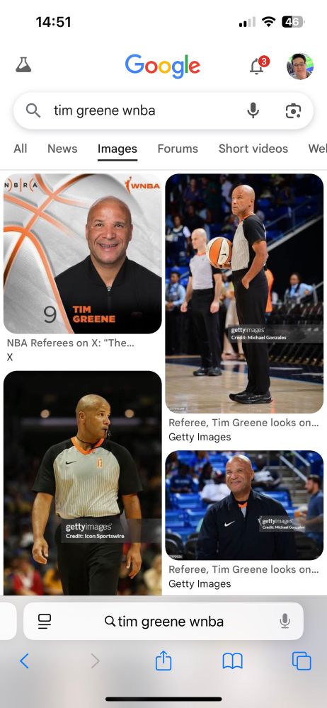 Screenshot of images for “Tim Greene WNBA” search.