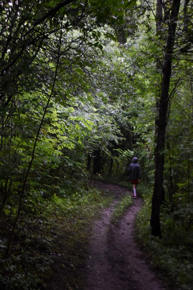 A person walks down a path through the woods. 