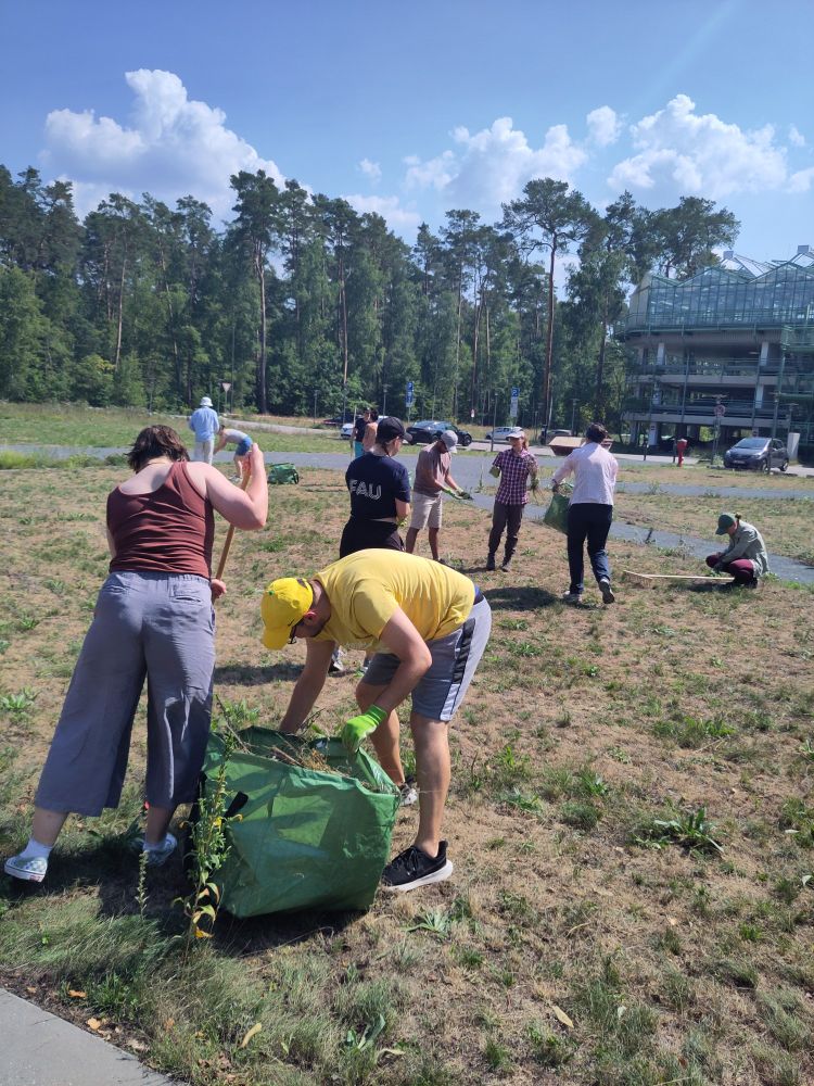Im Vordergrund ein Mensch mit gelbem T-Shirt, der Heu in einen grünen Sack steckt, daneben eine weitere Person, die das Heu zusammen harkt. Im Hintergrund weitere Menschen die gestikulieren.