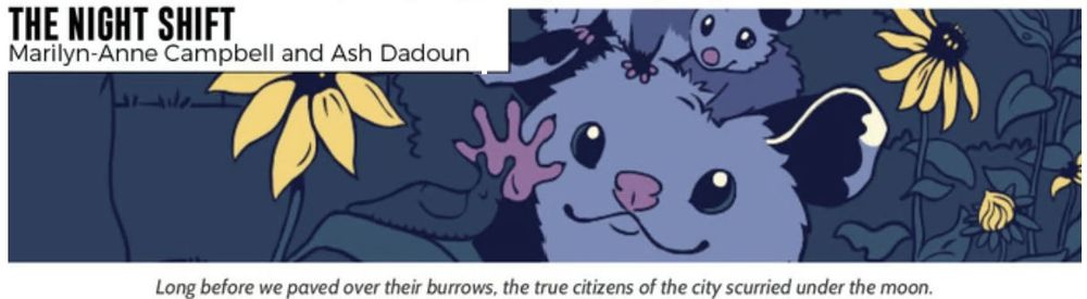 A Virginia opossum in a garden