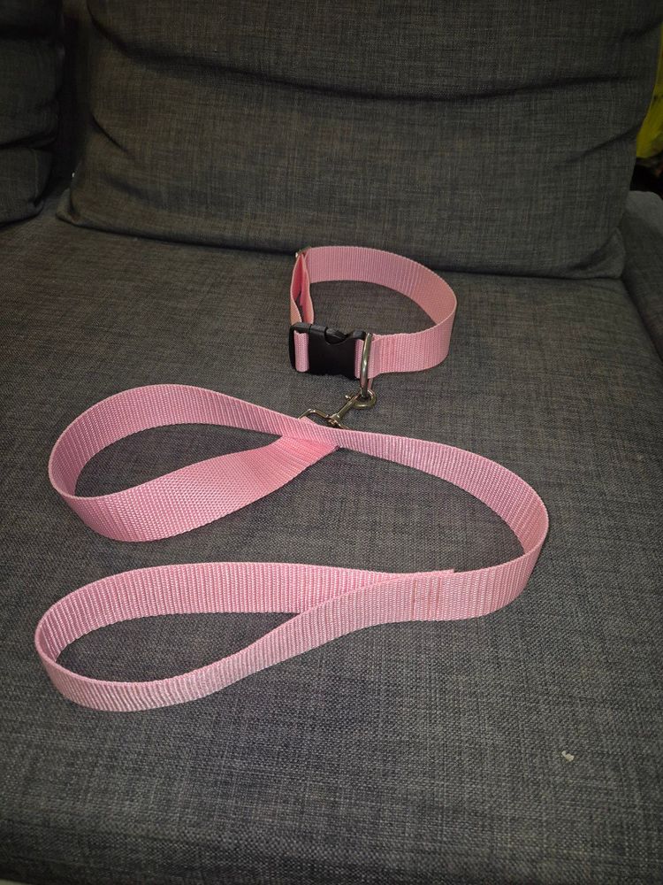 pink collar and leash