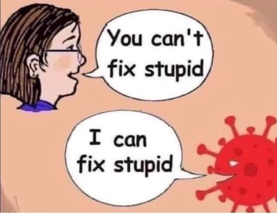 Comment image