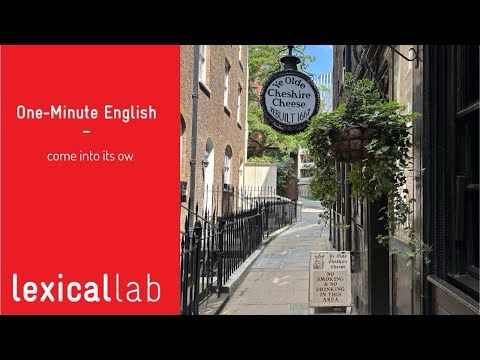 ONE-MINUTE ENGLISH: come into its own LEARN WITH LEXICAL LAB