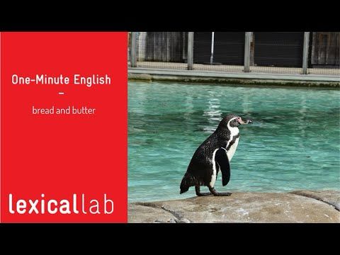 ONE-MINUTE ENGLISH: bread and butter LEARN WITH LEXICAL LAB