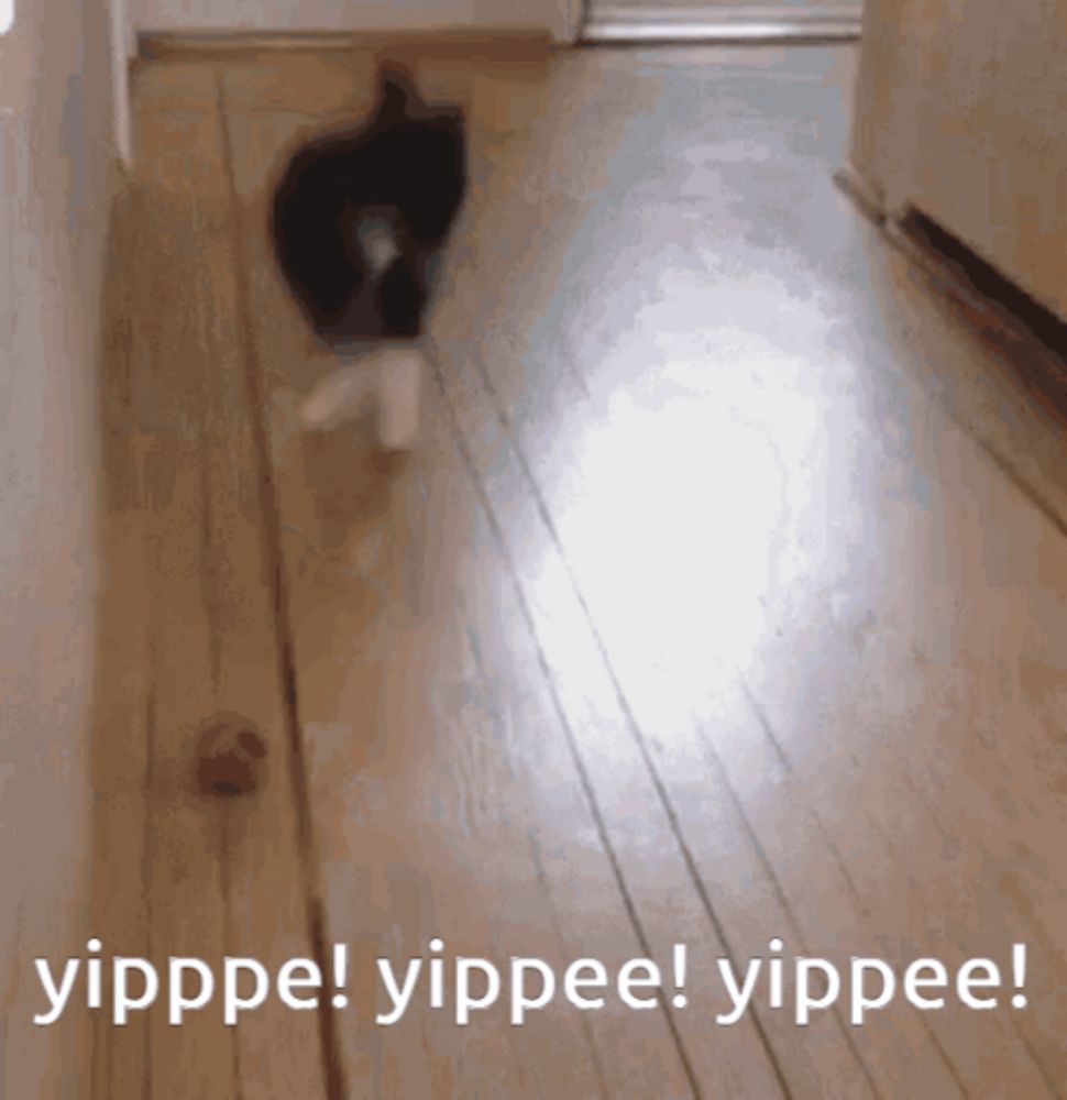 Yipppe Yippee Yippee Yippee GIF