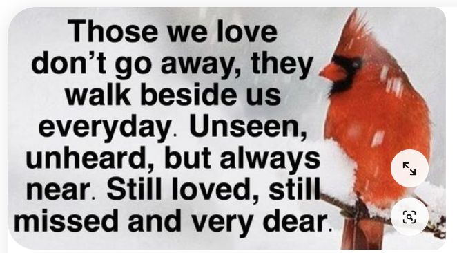 Red Cardinal sitting on tree branch, and words:
"Those we love don't go away, they walk beside us everyday. Unseen, unheard, but always near. Still loved, still missed, and very dear."