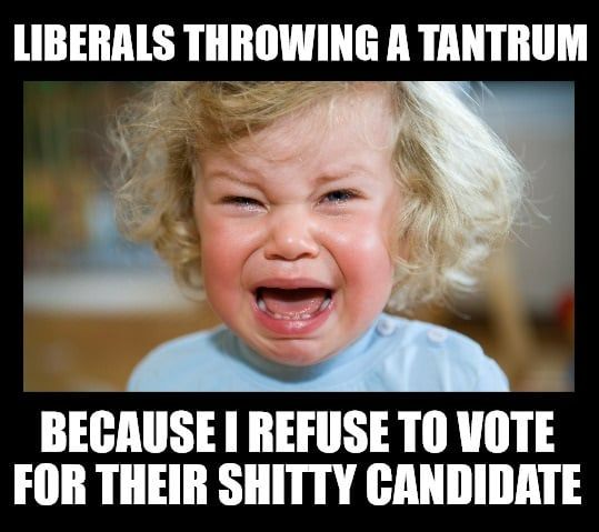 Crying toddler with this caption:
"Liberals throwing a tantrum because I refuse to vote for their shitty candidate."
