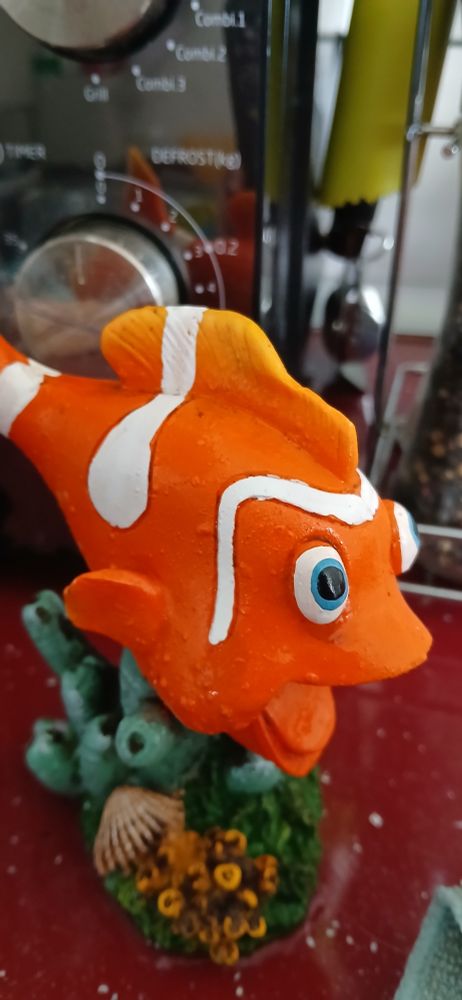 Nemo Aterrorizado castigado al lado del microondas por amenazar la vida de Josefina de la Torre.