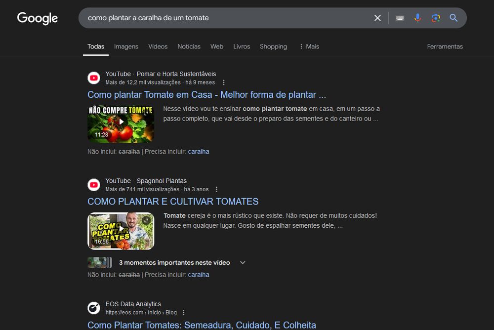 Busca "como plantar a caralha de um tomate" com vários resultados de vídeos extremamente relevantes.
