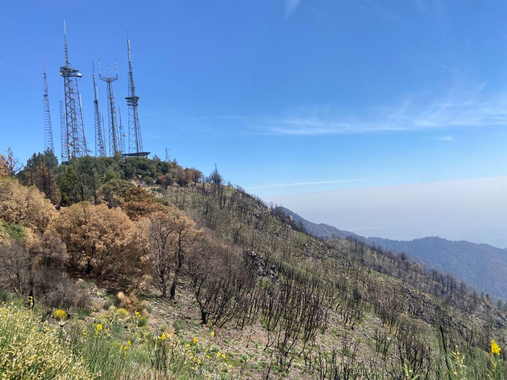 The communications tower array on Mt Wilson and visible tree burns on its southern slope from the Eaton Canyon fire.