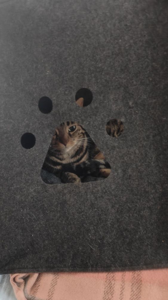 Circé in a tent on the bed, seen through a small cat paw shaped hole in the side of the tent