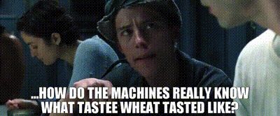 Mouse dans Matrix qui demande "How do the machines really know what tastee wheat tasted like?"