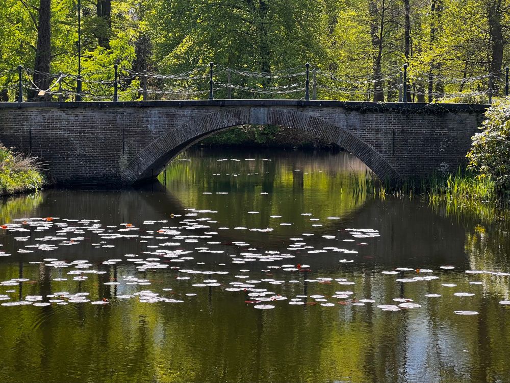 Stenen bruggetje bij Huis Doorn. Metalen schakelkettimgen vormen de brugleuningen. Op de achtergrond groene bomen, die weerspiegelen in het water voor en onder de brug. Op het water drijven waterlelies. 