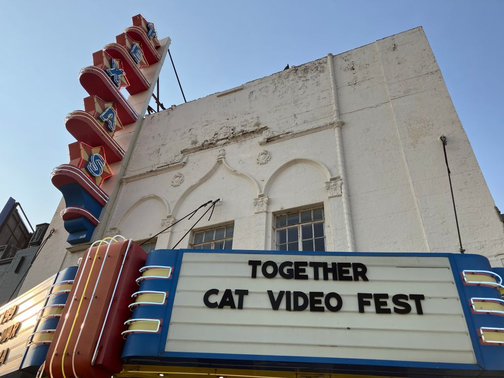 Texas Theatre with Cat Video Fest on marquee 
