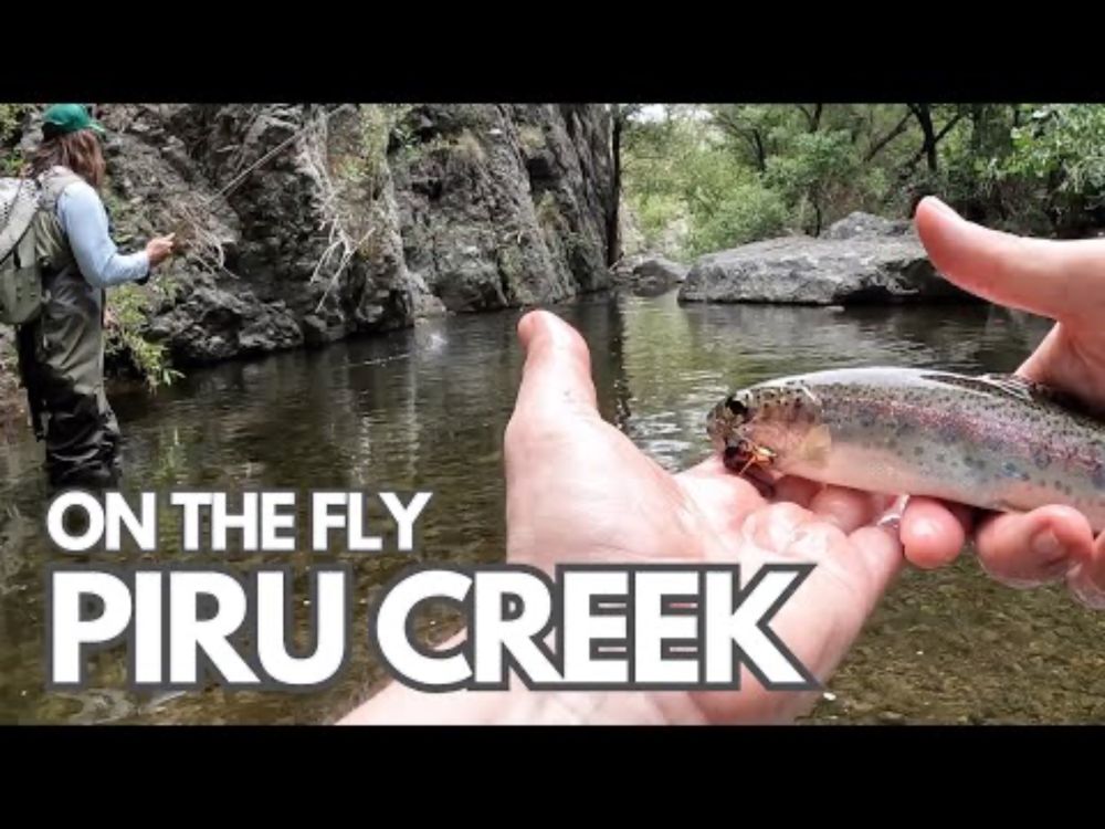 Piru Creek: Backcountry Fly Fishing for Wild Rainbow Trout (Warden Run-in) in Southern California