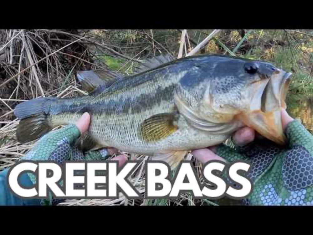 March Madness: NON-STOP Action - 1 1/2 HOURS of CREEK BASS Fishing