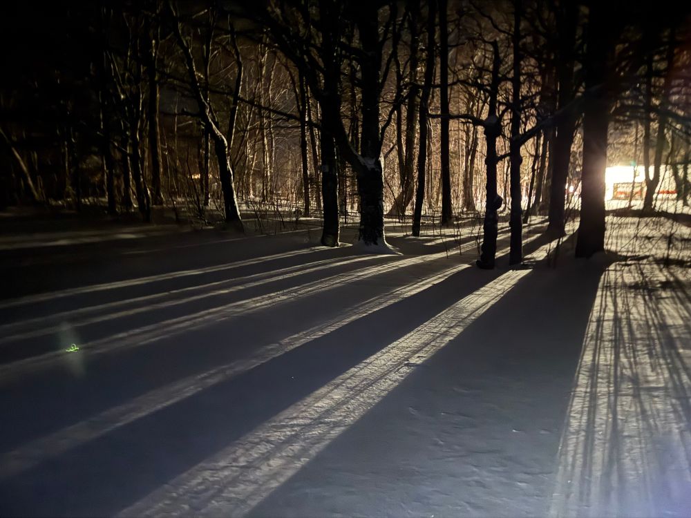 Porch light shining through trees on the snow