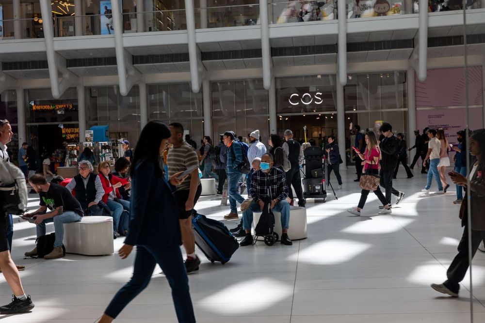 Major retailers that released quarterly results last week shared their perspectives on how consumers are faring and what tariffs mean for the industry.