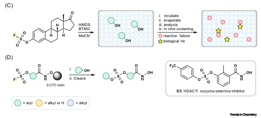 SuFEx chemistry, Trends in Chemistry, Olsen Lab, UCPH, 2025