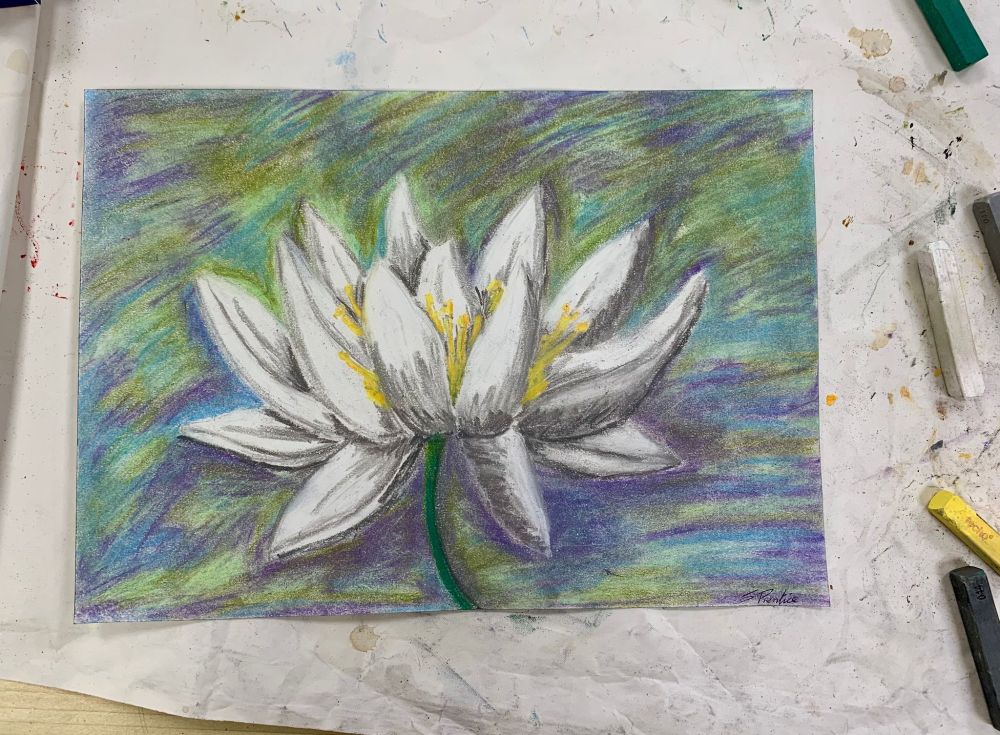 My first art piece of 2025, White water lily in soft pastels. 