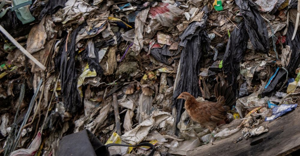 The United States has sent letters to at least a handful of countries urging them to reject the goal of a global pact that includes limits on plastic production and plastic chemical additives at the start of U.N. plastic treaty talks in Geneva, according to a memo and communications seen by Reuters.