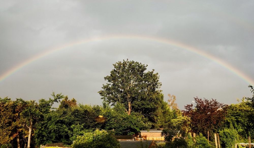 Rainbow across grey clouds, over garden hedges, shed roofs and trees.