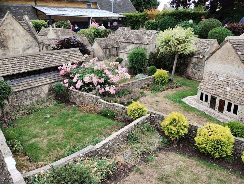 View across miniature back gardens, between the backs of miniature stone houses. More tiny walls, trees, bushes and a sprawling pink mini-rose.
