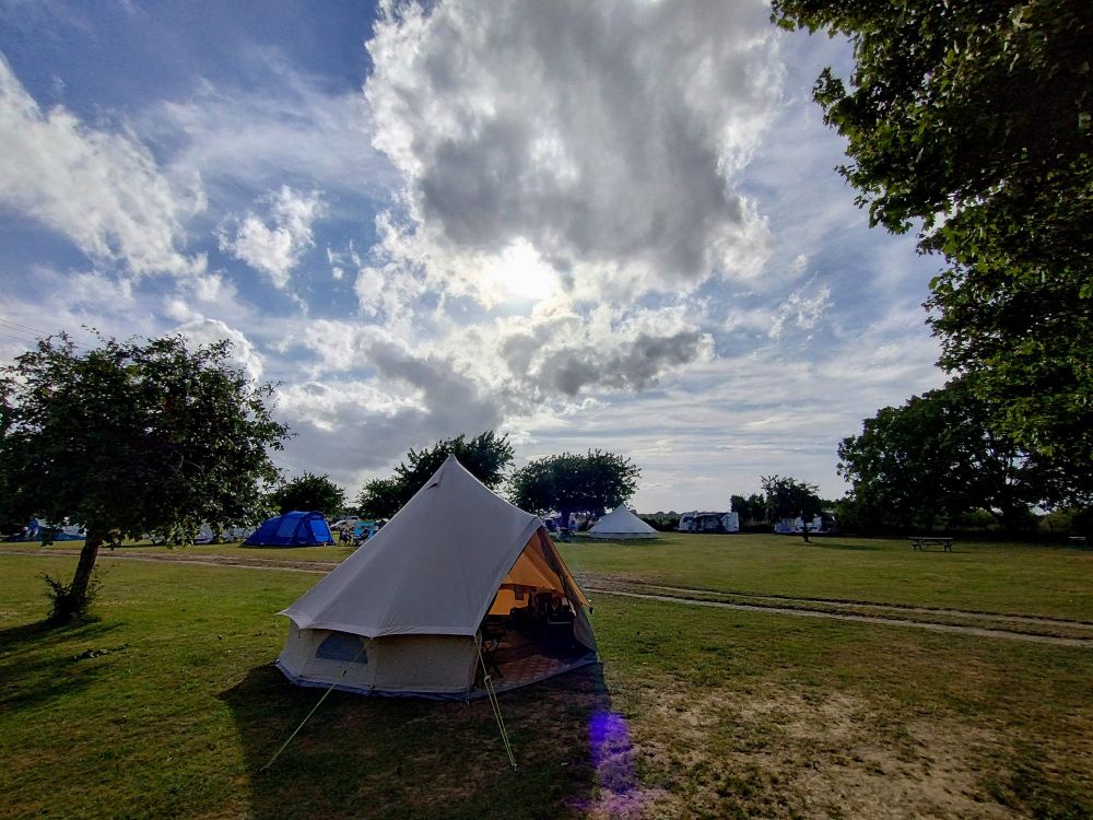Bell tent, set up near a little plum tree, on a flat green campsite with more tents and campers in the background. Sun shining through fluffy clouds above.