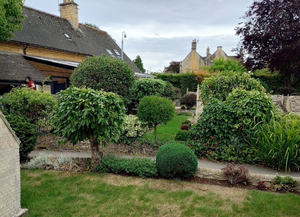 View across a green part of the model village, showing miniature trees, ivy climbing up a miniature wall, and tightly clipped conifer bushes.