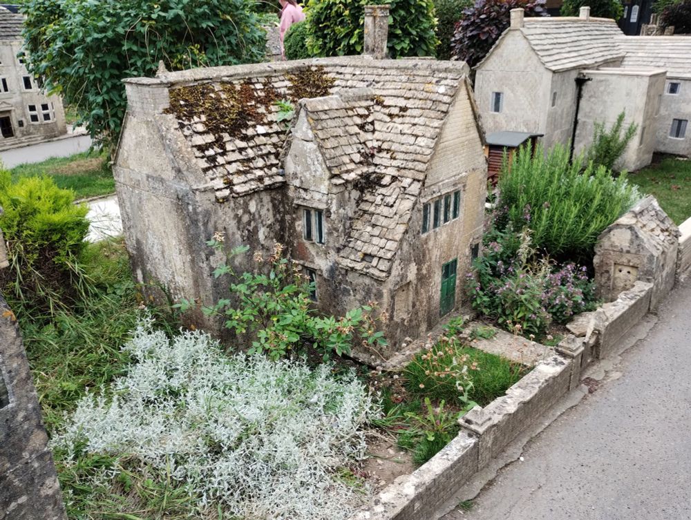 A stone model house, with stone front wall and a front garden planted with a miniature rosebush, silvery snow-in-summer, rosemary and others. A line of tightly clipped trees behind, and other model buildings in the background.