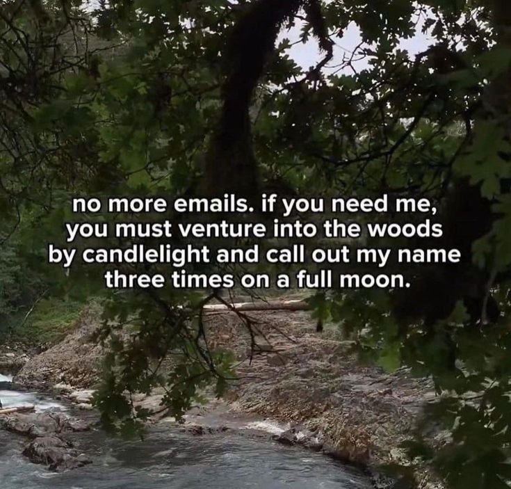 forest with text over it saying, "no more emails. if you need me, you must venture into the woods by candlelight and call out my name three times on a full moon." 