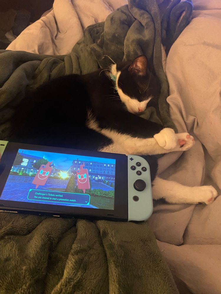 Nintendo switch displaying Pokémon ZA and a curled up tuxedo cat laying next to it. 