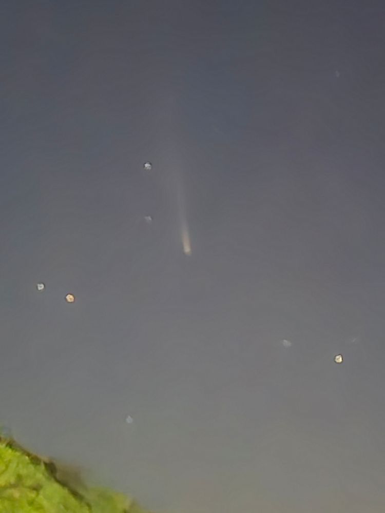 I saw a comet for the first time! Look at its little trail! :0