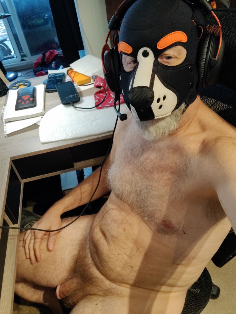 Overhead view of a naked human dog