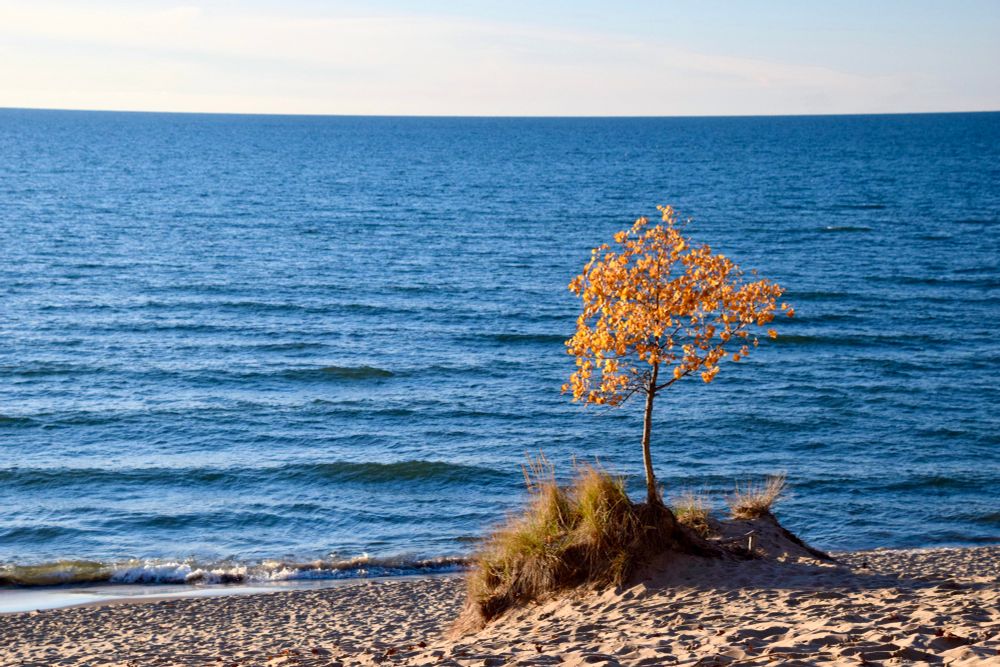 Autumn colors at Saugatuck State Park 