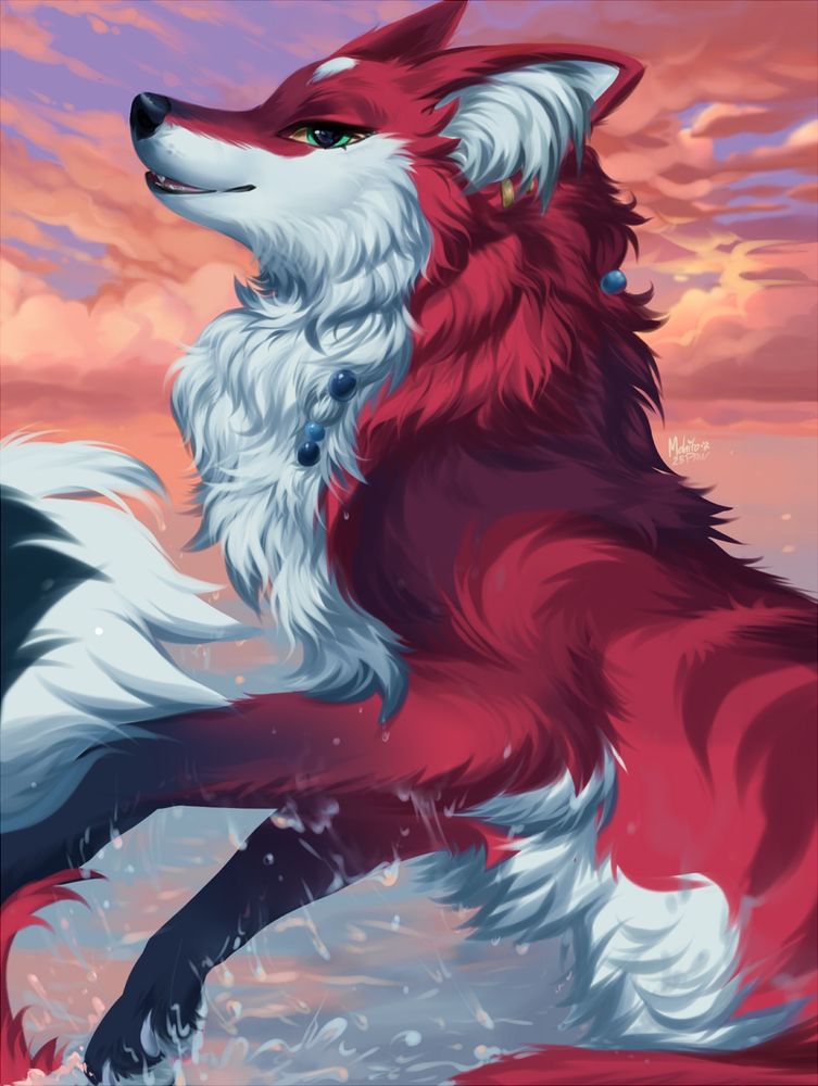 fox