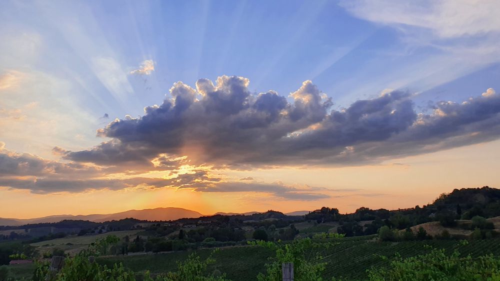 Zonsondergang waarbij de zon nog half achter een wolk zonnestralen verspreid. Op de voorgrond groene wijnranken in heuvellandschap. De lucht kleurt van oranje bij de horizon naar blauw bovenin.